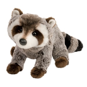 Ringo the Raccoon
